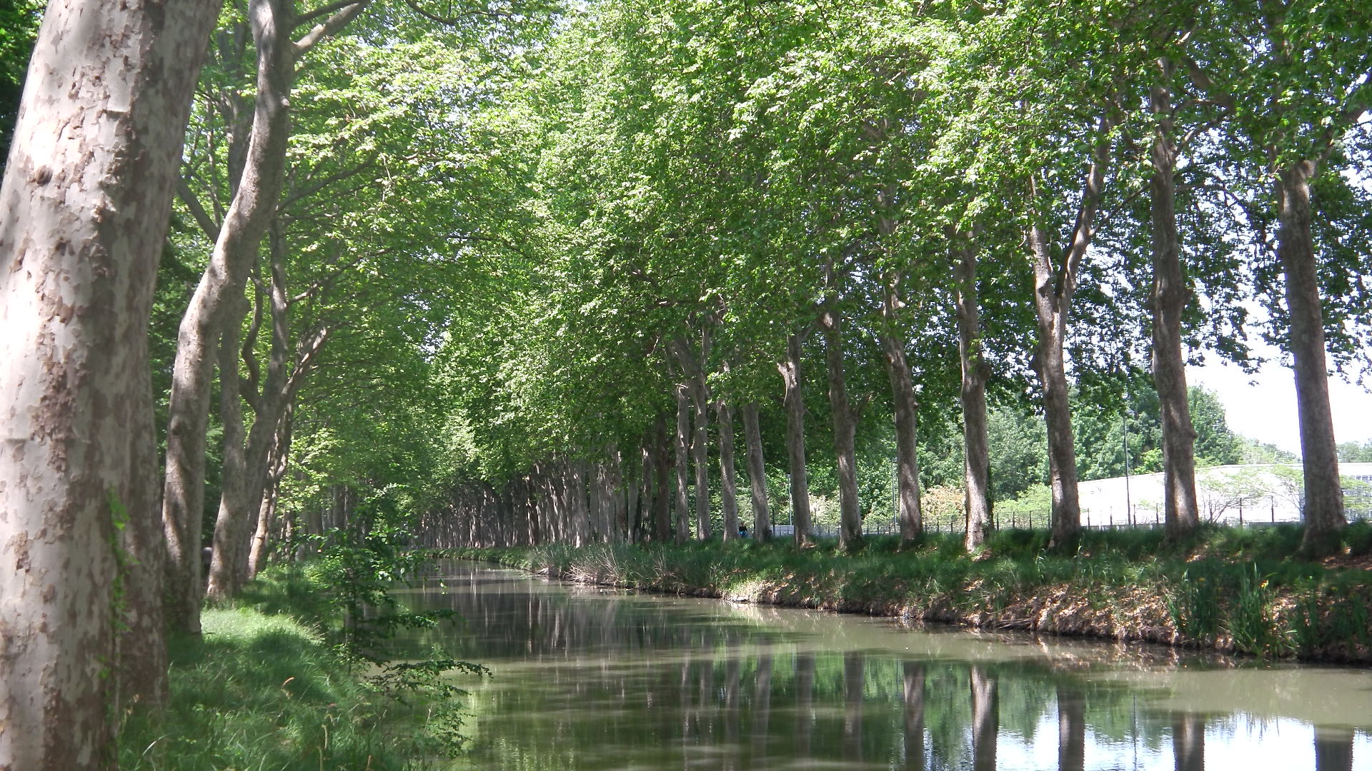 フランス南西部の旅 その７ ミディ運河 さらざんのブログ